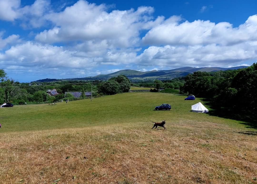 Moelyci Field